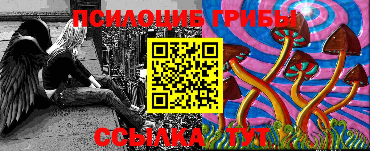 купить наркоту  Вход с VPN  Качканар  Псилоцибиновые грибы MAGIC MUSHROOMS 